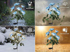 Solar Garden Rose Lights by FANCYPOP, 2 Pack Most Realistic 12 LED Flower Stake - Image 7