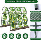 U-Shape Cucumber Trellis for Raised Bed - Image 6