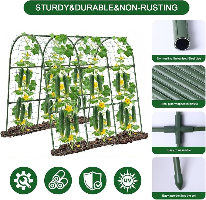 U-Shape Cucumber Trellis for Raised Bed - Image 6
