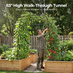 Garden Arch Trellis for Climbing Plants, Metal Cucumber & Tomato Cage, - Image 2