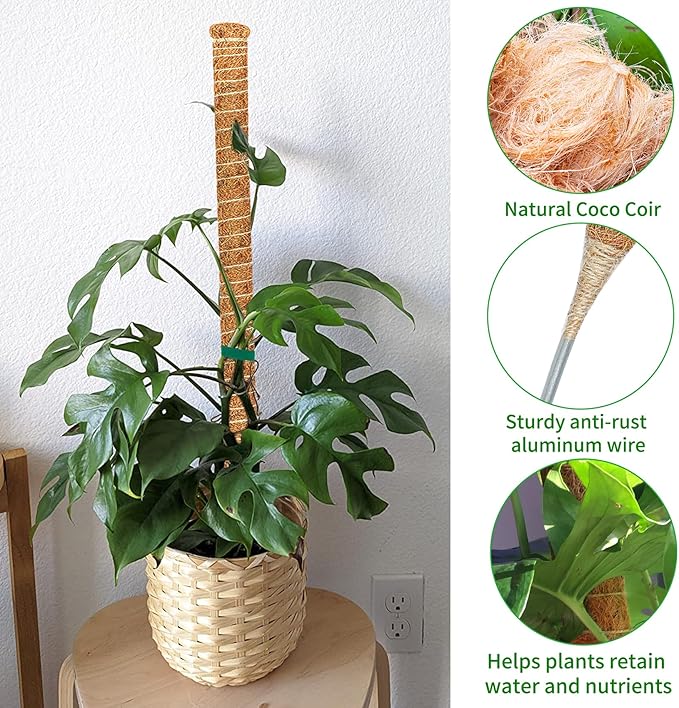 4 Pack 39 Inch Moss Pole Monstera Plant Support, Coir Moss Poles - Image 9