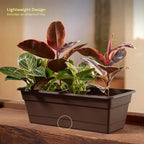 Bloem Dura Cotta Window Box Planter: 30" - Image 7