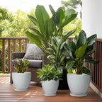 Ceramic Pots for Plants - Image 7
