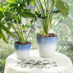 Monstera Plant Stem Support Set - Image 6