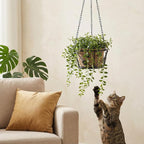 Goaste 2 Pack Metal Plant Hanger, Hanging Plant Holder - Image 7