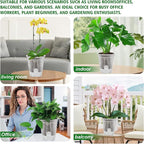 Cdd's Path Large Naked Root Planter Self Watering Pots Set - Image 5