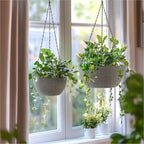 T4U 8 Inch Hanging Planters for Indoor Plants, 2 Pack Hanging Planter, Hanging - Image 3