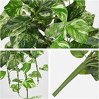 Hollyone Artificial Pothos Hanging Plants 25" Fake Ivy Vine Faux Ivy Pothos - Image 3