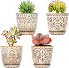 Gepege Succulent Pots, 4 Inch Small Indoor Ceramic Planter Pot by Gepege