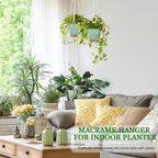 Hanging Planter for Indoor Plants 8 Inch, 2 Pack Self Watering Hanging Baskets - Image 4