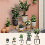 5-Pack Metal Plant Stand Indoor Anti-Rust Flower Display Stand Heavy Duty - Image 3