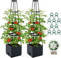 2 Pack Raised Garden Bed Planter Box by Monirsen