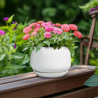 G EPGardening Ceramic Pots for Plants - Image 4