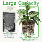 60 Pack 1 Gallon Flexible Plant Nursery Pots, Flower Plant Container, Seedling - Image 4