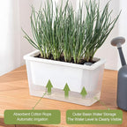 Window Box Planter, 3 Pack 10 Inch Plastic Self Watering Pots - Image 4