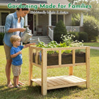 Raised Garden Bed with Transparent Acrylic Side Panels, Elevated Wooden Planter - Image 8