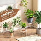 Plant Stand Indoor Outdoor 5 Pack Heavy Duty Metal Stand Multiple Plants - Image 4