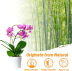 Avalution 10 Pack Bamboo U Trellis - Image 3