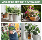 17.5 Inch Indoor Plant Trellis for Climbing Plants, Metal Trellis, Small Garden - Image 7