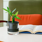 D'vine Dev 4 Inch Design Self Watering Planter - Image 7