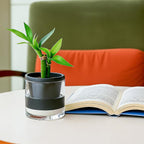 D'vine Dev 4 Inch Design Self Watering Planter - Image 4