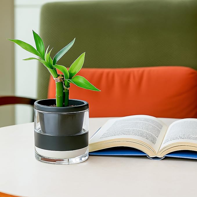 D'vine Dev 4 Inch Design Self Watering Planter - Image 2