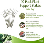 Mini Twigs Plant Support Stakes - Image 2
