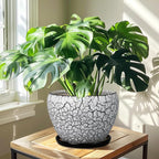 Ceramic Planters for Indoor Plants - Image 7