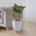 Kante 13.4" Dia Round Concrete Planter, Large Outdoor Modern Indoor Decorative - Image 4