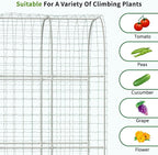DoCred 3 in 1 Raised Garden Bed - Image 8