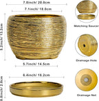 SQOWL Ceramic Flower Pot - Image 3