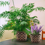 8 Inch Planter Pots for Plants, Plastic Flower Pots Indoor Outdoor, 5 Pack - Image 4