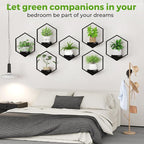 Wall Planters for Indoor Plants 5 Pack, Plant Frames Wall Decor Living Room - Image 7
