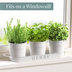 Barnyard Designs Indoor Herb Garden Planter Set - Image 3
