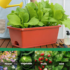 Window Box Planter, 12 Pack Plastic Vegetable Flower Planters Boxes 17 Inches - Image 2