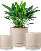 vancasso Ceramic Plant Pots, 3 Piece Planters by vancasso