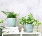 6 Inch Retro Ceramic Planter Set of 2 - Image 7
