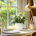 T4U 7 Inch Self Watering Pots for Indoor Plants, 4 Pack Plant Pots, Self - Image 7