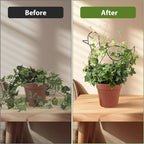 2 Pack Plant Trellis Indoor, 10.8" W x 13" H Small Trellis - Image 3