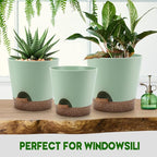 Indoor Self Watering Planters - Image 7