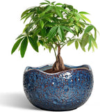 10 Inch Plant Pot by Thirtypot