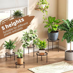 Plant Stand Indoor Outdoor 5 Pack Heavy Duty Metal Stand Multiple Plants - Image 3
