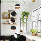 10 Inch Hanging Planters for Indoor Plants, 2 Pack Self Watering Hanging - Image 6
