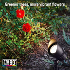 LEONLITE Low Voltage LED Landscape Spotlight, 5W 12V Pathway Lights Outdoor - Image 5