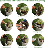 11Pcs Succulent Tools, Mini Garden Tools, Succulent Watering Tool as Plant - Image 3