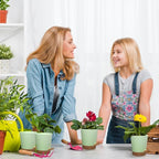 Self Watering Pots, 4 inch Flower Pots - Image 7