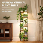 Bamworld Plant Stand with Grow Light - Image 5