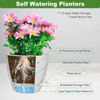 Planters for Indoor Plants, 8/7/6.5/6/5.5/5 Inch Self Watering Planters - Image 2