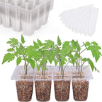 Bonviee 12 Packs Seed Starter Tray by BonvieeDirect