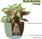 Plastic Plant Pots 10/9/8/7.5/7 inch Set of 5, Flower Planters - Image 4